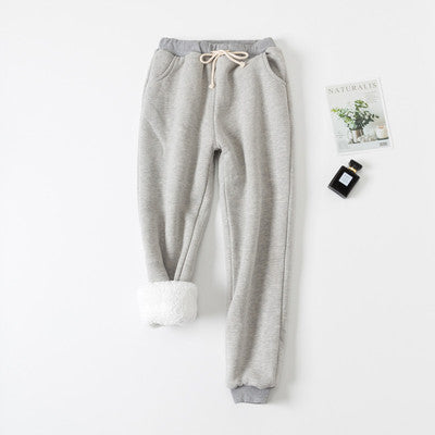 Gray sweatpants on a white background with a small plant and book.