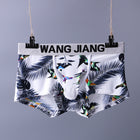 Men's underwear with bird and leaf pattern hanging on a gray background with 'WANG JIANG' branding.