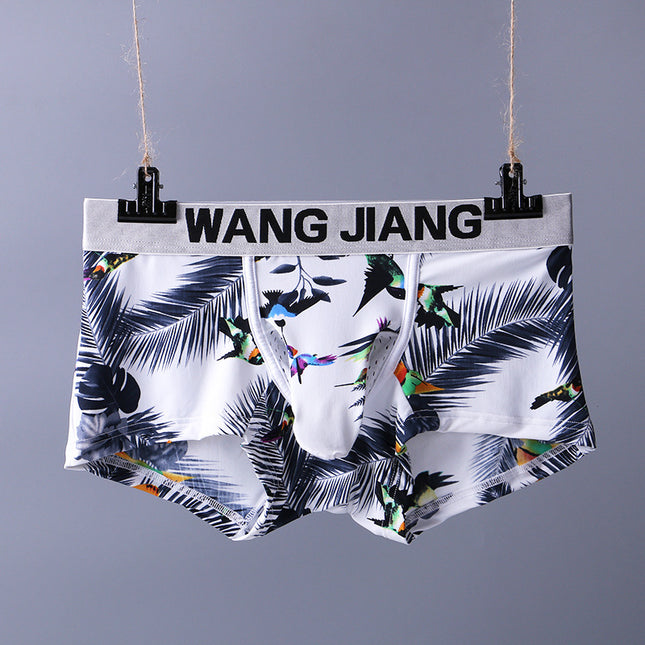 Men's underwear with bird and leaf pattern hanging on a gray background with 'WANG JIANG' branding.